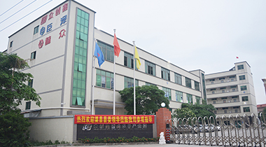 热烈欢迎渠县县委领导莅临我司参观指导！